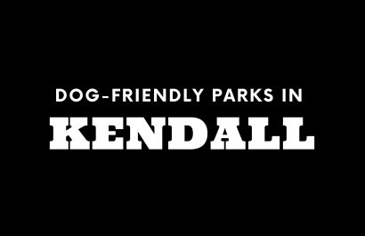 Dog-Friendly Parks in Kendall